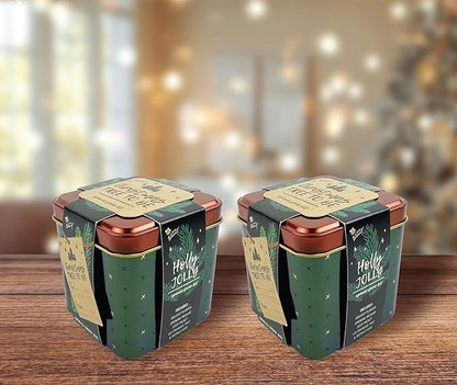 BUZZY Seeds Holiday Spruce Square Tin Grow Kit 2-Pack – Indoor Mini Spruce Tree Starter Kit for Plant Lovers – DIY Gardening, Stocking Stuffers, Party Favors, and Classroom Projects