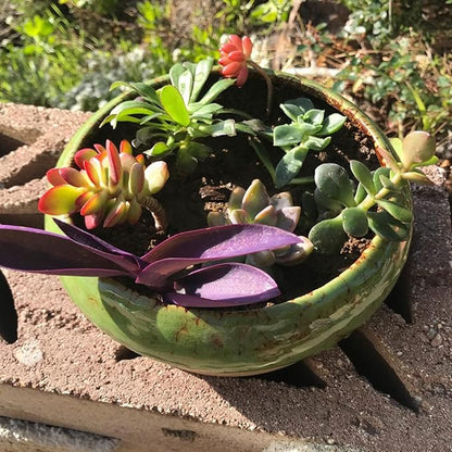 ARTKETTY Succulent Pots with Drainage, 2 Pack Large Succulent Planters Ceramic Bonsai Pot with Trays, 7.3 Inch Round Shallow Planters for Indoor Cactus Flower Plants