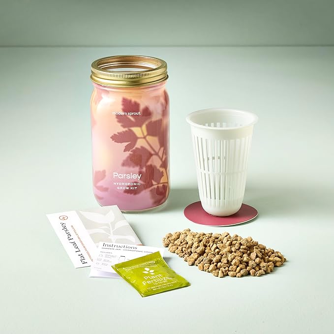 Modern Sprout Mason Garden Jar - Self-Watering Hydroponics Growing System Kit with Organic Herb Seeds - Jar Planter for Indoor Herb Garden - Seed Starter Kit - Home Decor & Gifting - Parsley