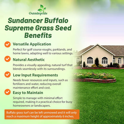 Outsidepride Perennial Buffalo Grass Seed - 5 lbs Heat & Drought Tolerant, Low Maintenance, Warm Season Dense Turf Grass Seed for Lawn, Xeriscape Landscaping, & Roadside Planting