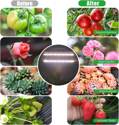 16‘’ LED Grow Light Strips for Indoor Plants，Full Spectrum 120 LEDs with 4 Install Methods, 6/12/16H Timer, 10 Dimmable Levels, 3 Switch Modes for Seedling Succulent Sunlike Strip (2 Head 1 Pack)