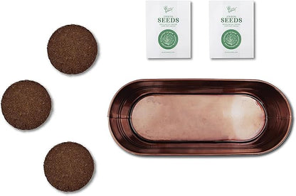 BUZZY Seeds Indoor Herb Garden Kit | Grow Rosemary and Thyme with Non-GMO Seeds | DIY Windowsill Planter Starter Set for Kitchen Countertop, Indoor Gardening, Holiday Gift, Home Decor