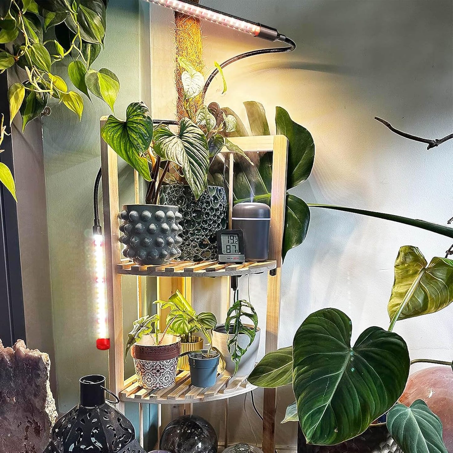 Clip Grow Lights for Seed Starting with Timer, Full Spectrum Brightest Plant Growing Lamps for Indoor Plants, Bonsai, Seedlings, 18 Watt Home Plug But Not 10W Adapter