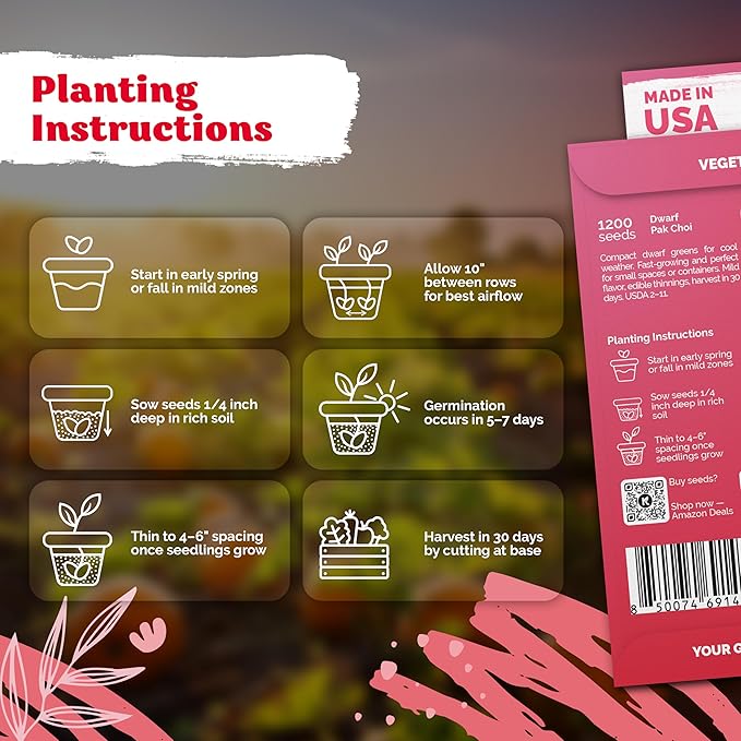 KVITER 1,200 Baby Bok Choy Seeds for Planting (Brassica rapa subsp. chinensis) – Heirloom Extra Dwarf Pak Choi, White Stem Chinese Variety – Organic Cabbage Seeds to Plant in Vegetable Garden