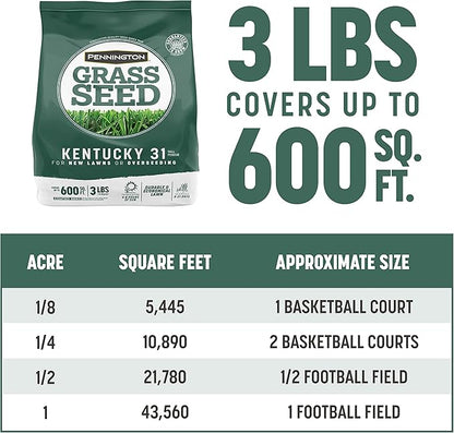 Pennington Kentucky 31 Tall Fescue Penkoted Grass Seed 3 lb, Green (Pack of 2)