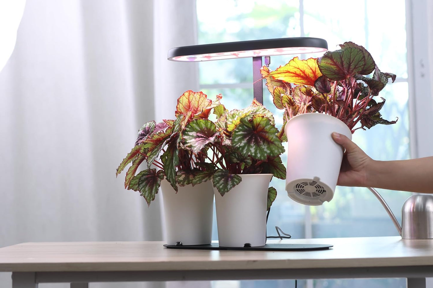 Indoor Garden Led Grow Light, 20W Full Spectrum LED Grow Lamp for Indoor Plants with Intelligent Controller, Height Adjustable, Ideal for Home Desk Plant Lighting (Black, Metal Base)