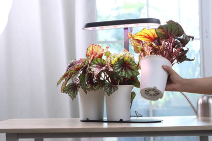 Indoor Garden Led Grow Light, 20W Full Spectrum LED Grow Lamp for Indoor Plants with Intelligent Controller, Height Adjustable, Ideal for Home Desk Plant Lighting (Black, Metal Base)