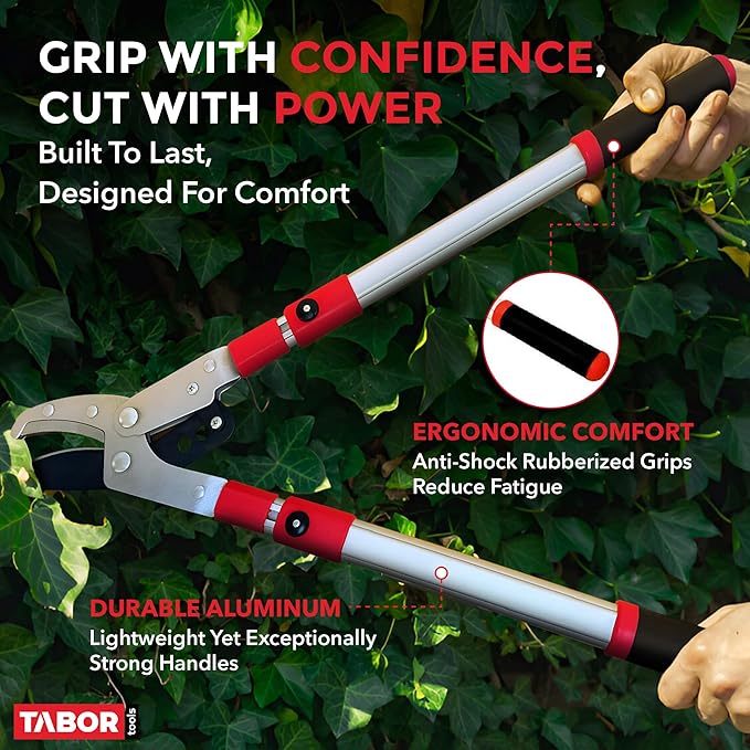 TABOR TOOLS GG22A Telescopic Extendable Anvil Lopper with Compound Action, 27-40 Inch Telescopic Tree Trimmer, Long Handled Branch Cutter with ⌀ 2 Inch Cut Capacity, Chops Thick Branches with Ease.