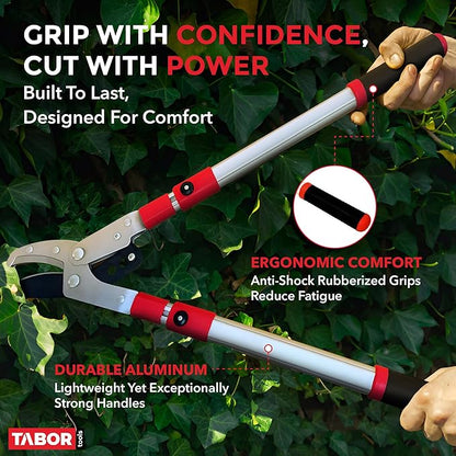 TABOR TOOLS GG22A Telescopic Extendable Anvil Lopper with Compound Action, 27-40 Inch Telescopic Tree Trimmer, Long Handled Branch Cutter with ⌀ 2 Inch Cut Capacity, Chops Thick Branches with Ease.
