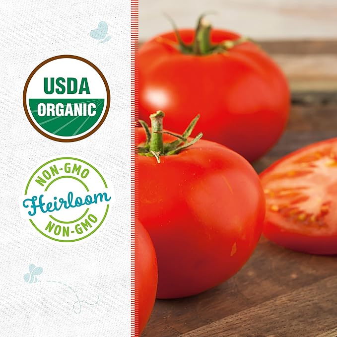 Back to The Roots 100% Organic Heirloom Seeds - Beefsteam Tomato Seeds for Planting Value Pack (200mg Total)