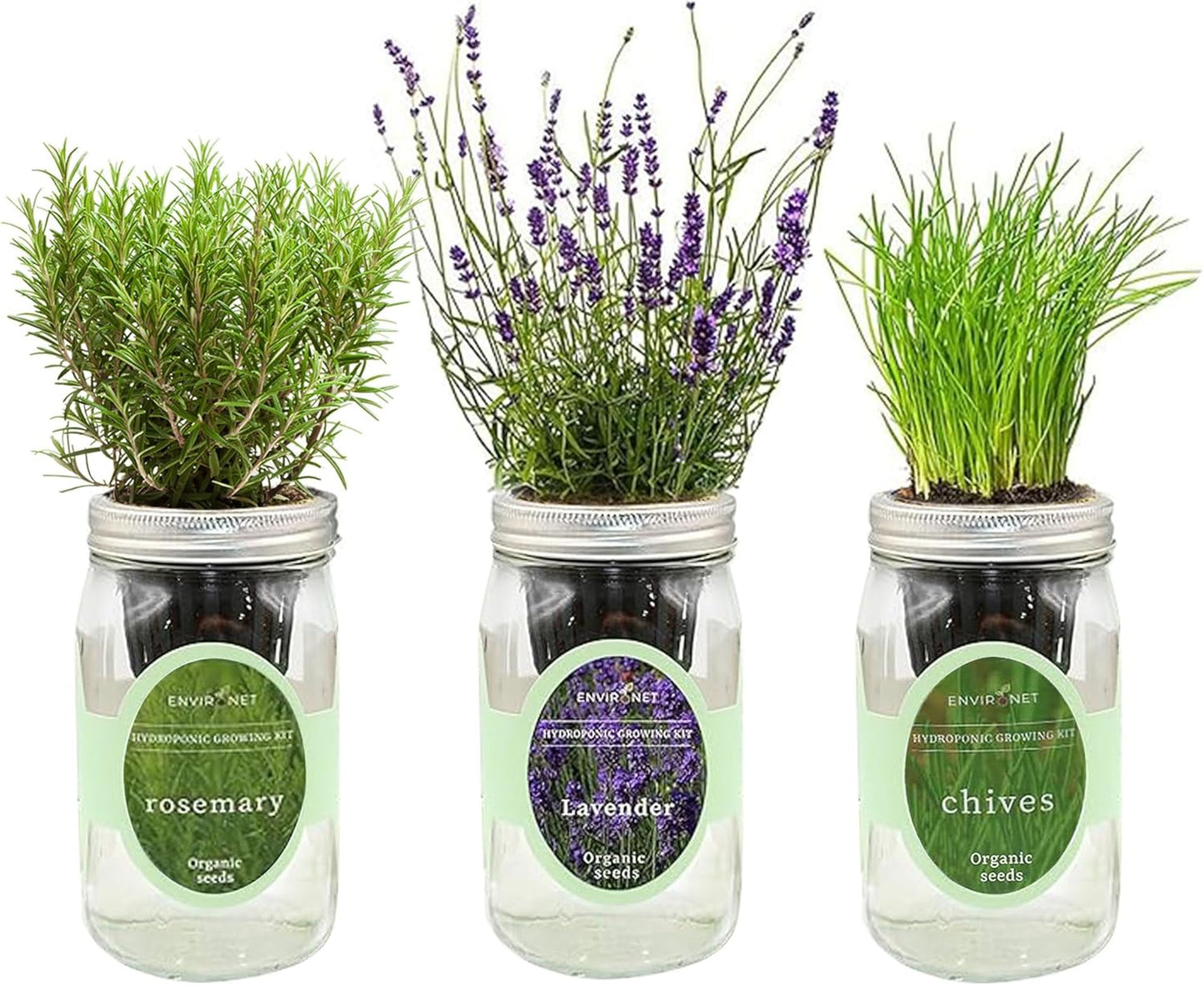 Hydroponic Herb Growing Kit Set, Self-Watering Mason Jar Herb Garden Starter Kit Indoor, Grow Your Own Herbs from Seeds (Lavender, Rosemary & Chives)