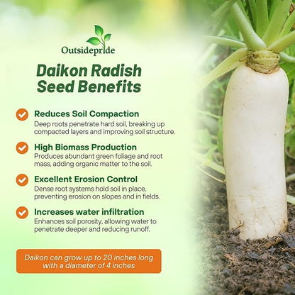 Outsidepride Annual Daikon Radish Seeds - 50 lbs. Chinese, Japanese, & Oriental Radish Seeds for Soil Health, Erosion Control, & Soil Aeration - Ideal for Gardens, Cover Crops, Pastures, & Food Plots