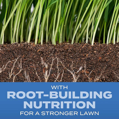 Scotts Turf Builder Grass Seed Sun & Shade Mix with Fertilizer and Soil Improver, Thrives in Many Conditions, 2.4 lbs.