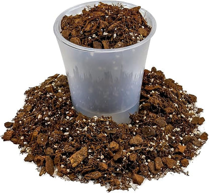 Premium Gardenera House Plant Potting Mix | Fern + New Zealand Bark + Perlite | Great for Pothos, Spider Plants, Montsera, Philodendron, English Ivy - 1 Quart Bag