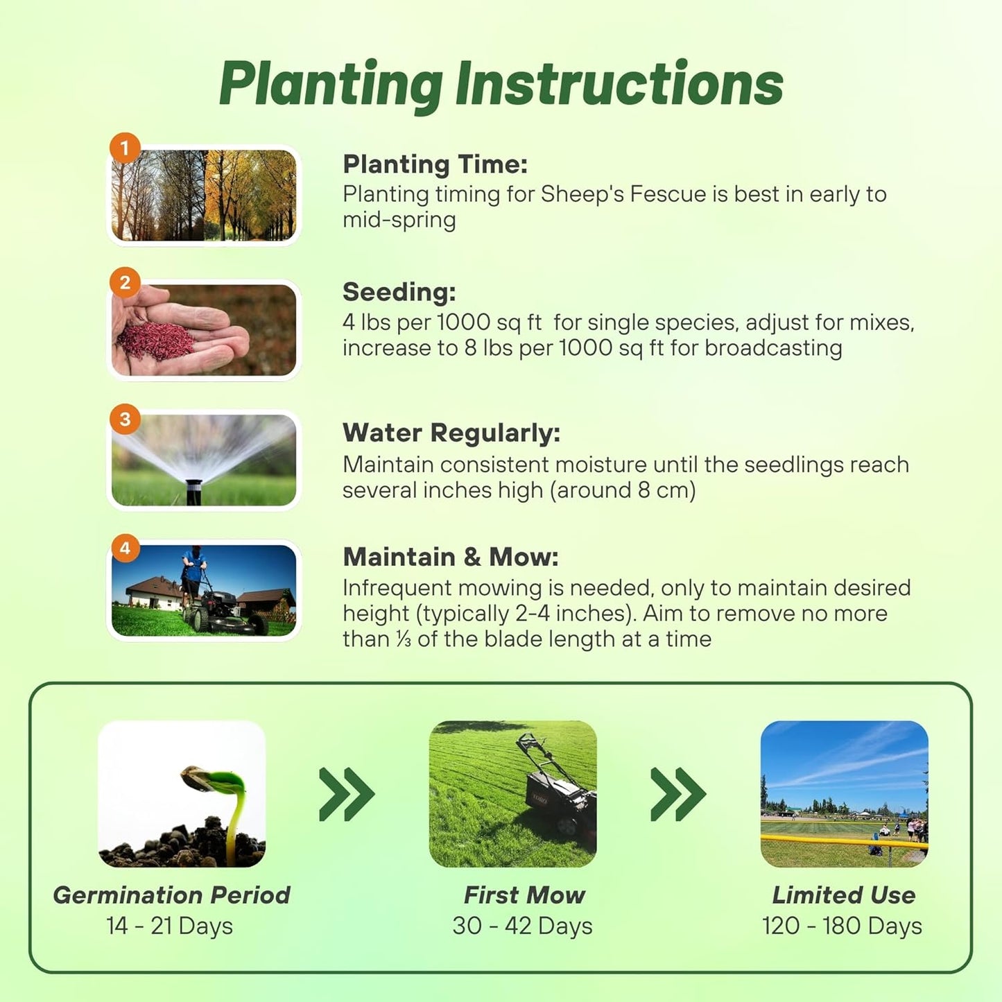 Outsidepride Sheeps Fine Fescue Grass Seed - 10 Lbs. Perennial Heat & Drought Tolerant Dense Green, Traffic-Resistant Turf for Shaded Environments w/OptiGrowth Coating for Seed Enhancement