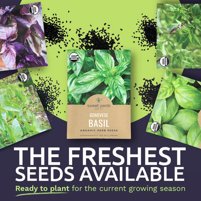Organic Basil Seeds Variety Pack - 8 Individual Packs - 2025 Season - Genovese, Thai, Lemon, Greek, Cinnamon and More! for Indoor & Outdoor Planting (Non-GMO, Certified Organic)