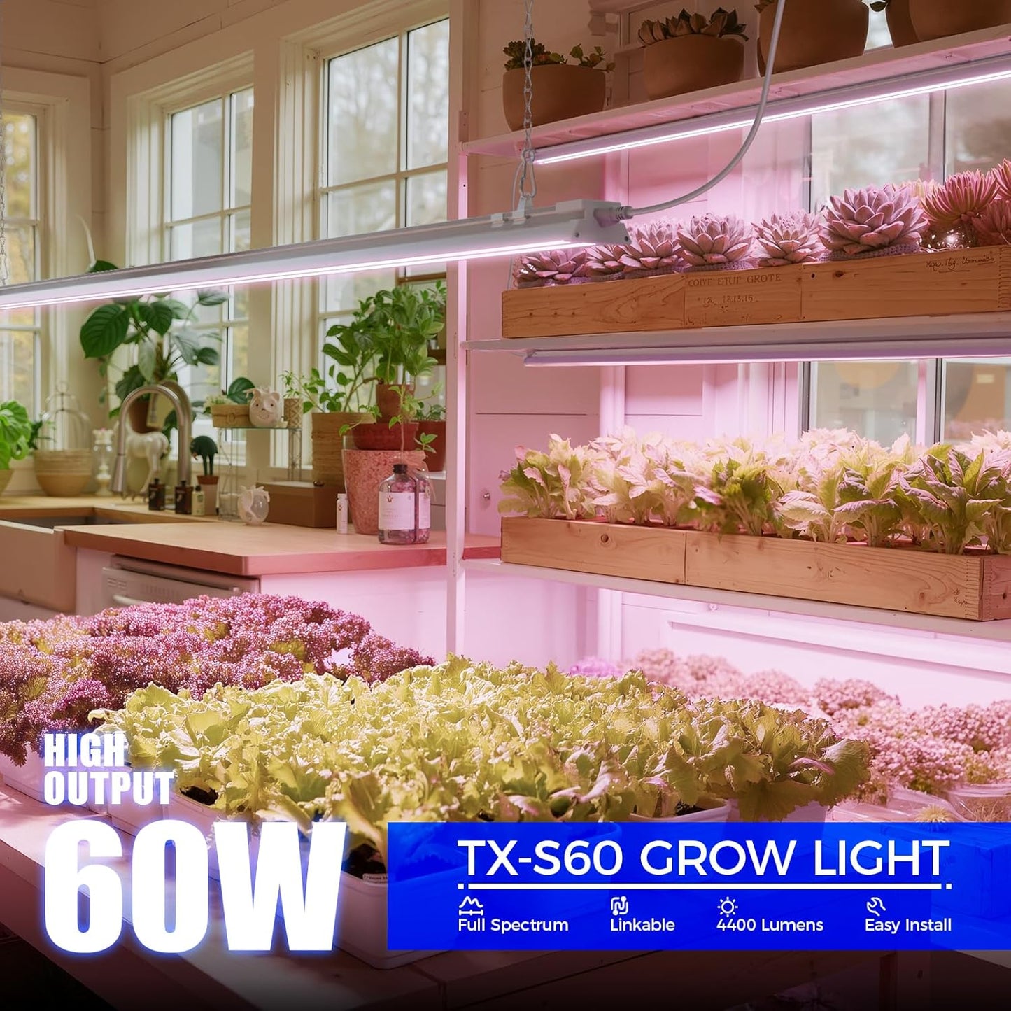 Barrina TX-S60 4FT Grow Light for Indoor Plants, 60W(420W Equivalent), Full Spectrum, High PPFD, Super Bright, Linkable, Grow Lights for Seed Starting, Greenhouse, Vegetables with On/Off Switch 1 Pack