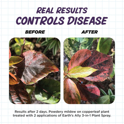 Earth's Ally 3-in-1 Plant Spray 32 oz Conc. Makes 4 gal | Insecticide, Fungicide & Spider Mite Control for Organic Gardening