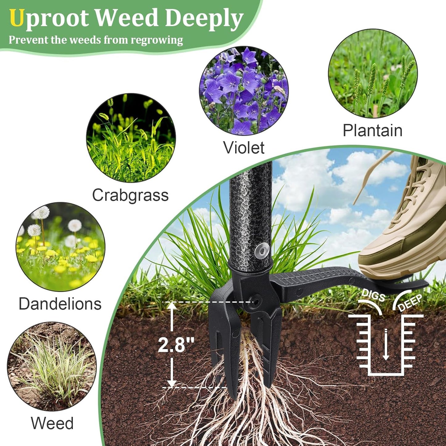 60” Stand Up Weed Puller Tool with Long Handle Reinforced 4-Claw Metal Head Manual Weeders Picker for Removing Dandelion Crabgrass from Garden Yard Lawn Without Bending or Kneeling