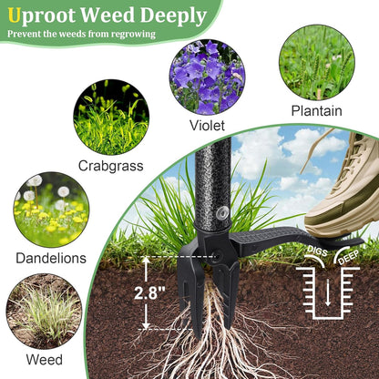 60” Stand Up Weed Puller Tool with Long Handle Reinforced 4-Claw Metal Head Manual Weeders Picker for Removing Dandelion Crabgrass from Garden Yard Lawn Without Bending or Kneeling