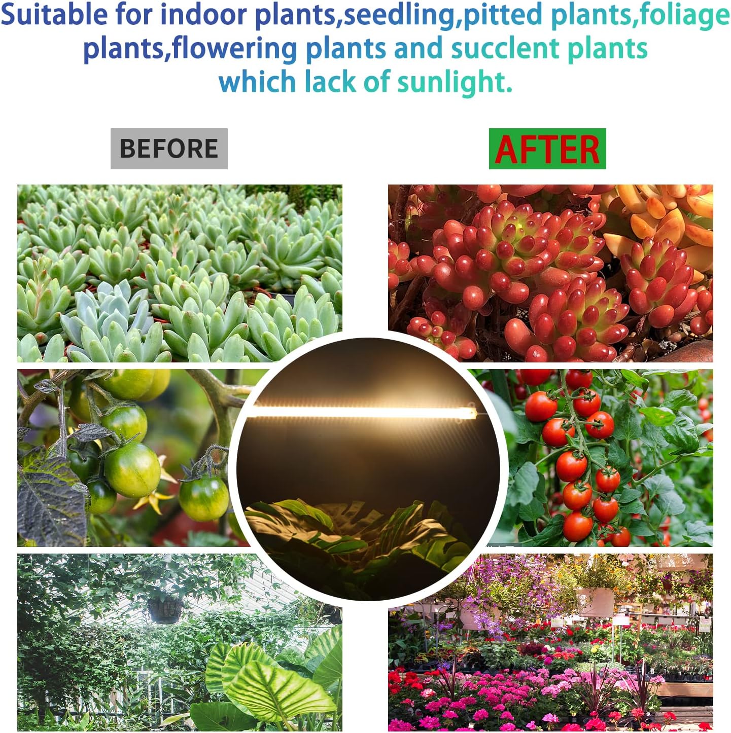 One Strip Growing lamp 2-Pack, Full Spectrum LED Grow Light Strips for Indoor Plants with Auto ON/Off Timer & 4 Dimmable Levels for Green House Hydroponics Succulent (One Head 2 Pack)