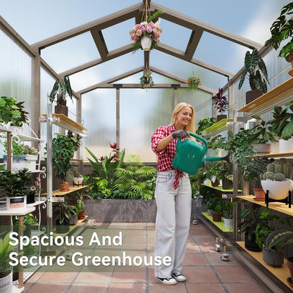 Aoxun 6x8 FT Walk-in Wooden Greenhouse,Solid Cedar Frame,Polycarbonate Panels, Automatically Temperature Control Roof Vent and Lockable Door,for Outdoor, Garden, Backyard,Patio, Lawn, Gray