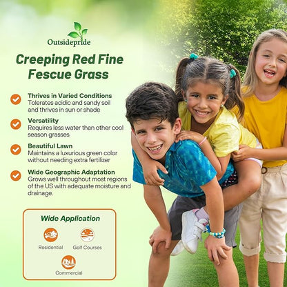 Outsidepride Creeping Red Fescue Grass Seed - 25 Lbs. Cool Season, Soft Textured, Self-Repairing Fine Fescue Grass Seeds for Lawn w/OptiGrowth Coating, Ideal for Dryland Cover Crop & Landscaping