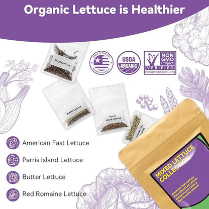 inbloom Salad Romaine Lettuce Seed Pod Kit for AeroGarden, Ahopegarden Hydroponics Growing System, 12-Pods (350+ Seeds, Include American Fast Lettuce, Parris Island Lettuce, Butter Lettuce)