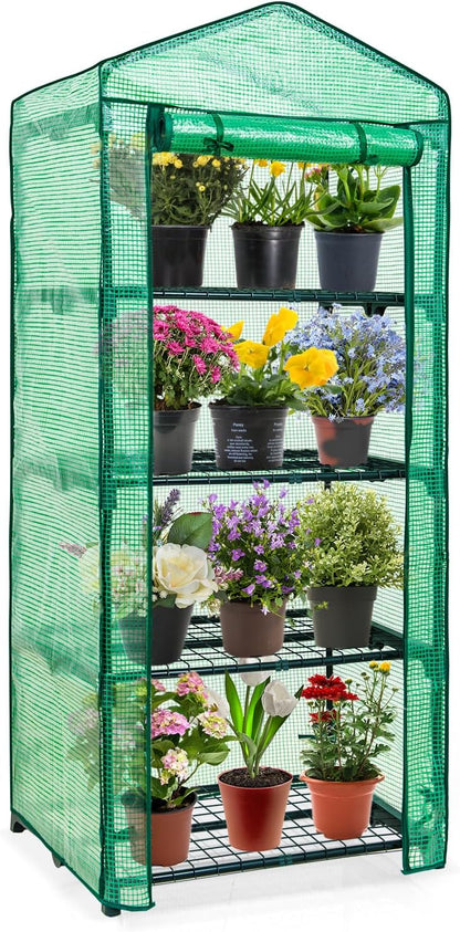 EAGLE PEAK 4-Tier Mini Greenhouse Portable Green House with Shelves & Weather-Resistant PE Cover, Small Greenhouse for Seedlings & Gardening Gifts, 27x19x64 in, Clear/Green