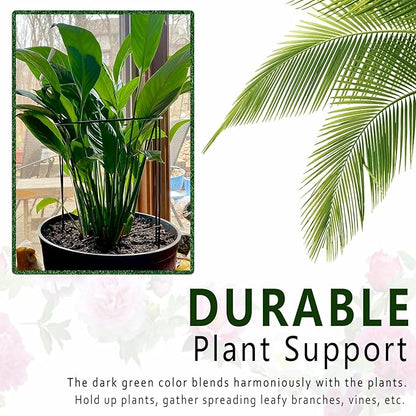 6 Pack Plant Support Stakes, Metal Monstera Plant Support Stakes for Indoor Plants, Large Garden Plant Support Ring, Tomato Cage, Tall Plant Holder Sticks (10" W X 15.8" H)