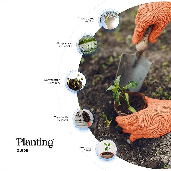 Onesie Seed Paper – 15 Blue Baby Shower Favors for Guests with Wildflower Seeds, Writable & Plantable, Baby Shower Gifts for Guest