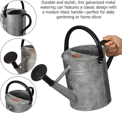 Gardenised 1 Gallon Metal Watering Can with Removable Long Spout & Sprinkler Head for Indoor & Outdoor Use Ideal for Garden Flowers Potted Plants Houseplants Modern Decorative Home Accessories, Silver