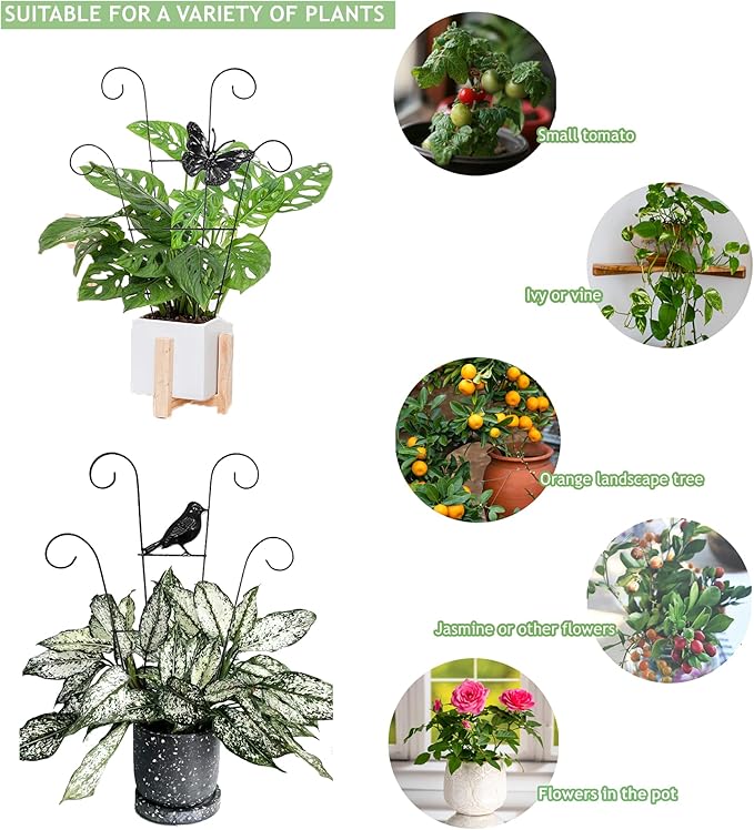 Indoor Plant Trellis for Climbing Plants Indoor Trellis Indoor Metal Trellis 4 Pack for Garden Plants Support Small House Plant Trellis for Vines, Flower