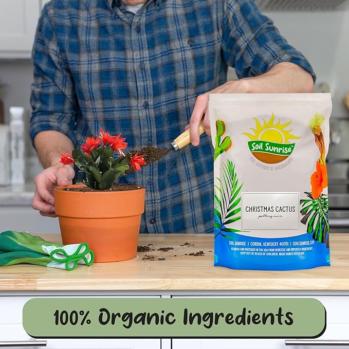 Christmas Cactus Potting Soil Mix (4 Quarts), Custom Blend for Xmas, Easter, and Thanksgiving Cactus Tropical Indoor Houseplants