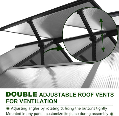 BlueWish 6x12FT Greenhouse for Outdoors, Aluminum Heavy Duty Greenhouse Kit with Lockable Door, 4MM Thickness Polycarbonate, Upgraded Rivet Structure Walk-in Green House for Garden, Gray