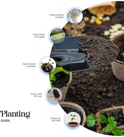 Onesie Seed Paper – 15 Pink Baby Shower Favors for Guests with Wildflower Seeds, Writable & Plantable, Baby Shower Gifts for Guest