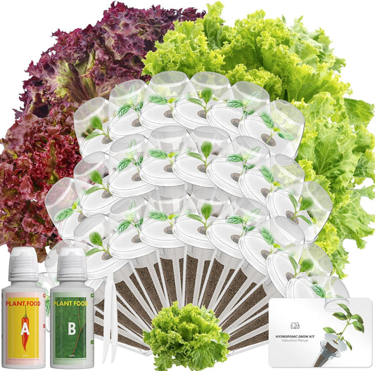 Red Romaine Lettuce Seed Pod Kits for AeroGarden, (24-Pods), Ahopegarden, iDOO Hydroponics Growing System Indoor Herb Garden, 400+ Seeds, Including American Fast Lettuce, Red Romaine Lettuce