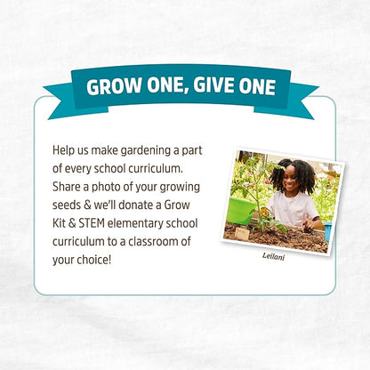 Back to The Roots 100% Organic Heirloom Seeds - Standard Cucumber Value Pack (3g Total)