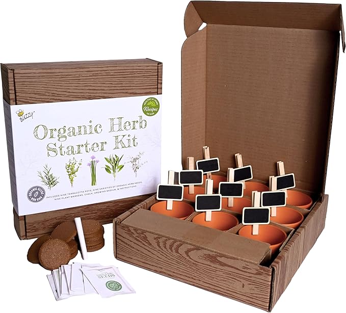 BUZZY Seeds 9 Pot Terracotta Grow Kit Organic Herb Seed Starter Set for Indoor Planting | Includes Seeds, Planting Pots, Soil and Plant Markers, Easy Gardening Gift, Kids Project, Gifts for Teachers