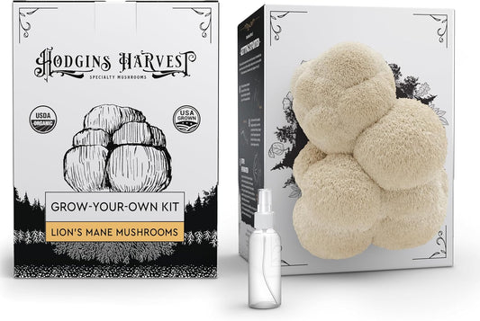 Lion's Mane Mushroom Grow Kit | USDA Certified Organic | Grow Your Own Delicious Gourmet Mushrooms at Home