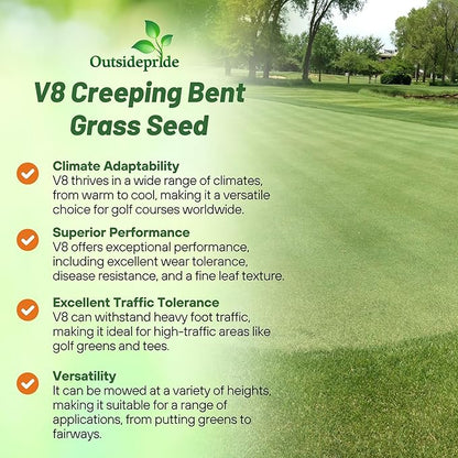 Outsidepride V8 Creeping Bentgrass Seed - 5 lbs. Fine-Bladed, Premium Quality Turf, Grass Seeds for Smooth Surface, & High-Traffic Areas, Ideal Grass for Golf Courses Putting Greens, & Fairways