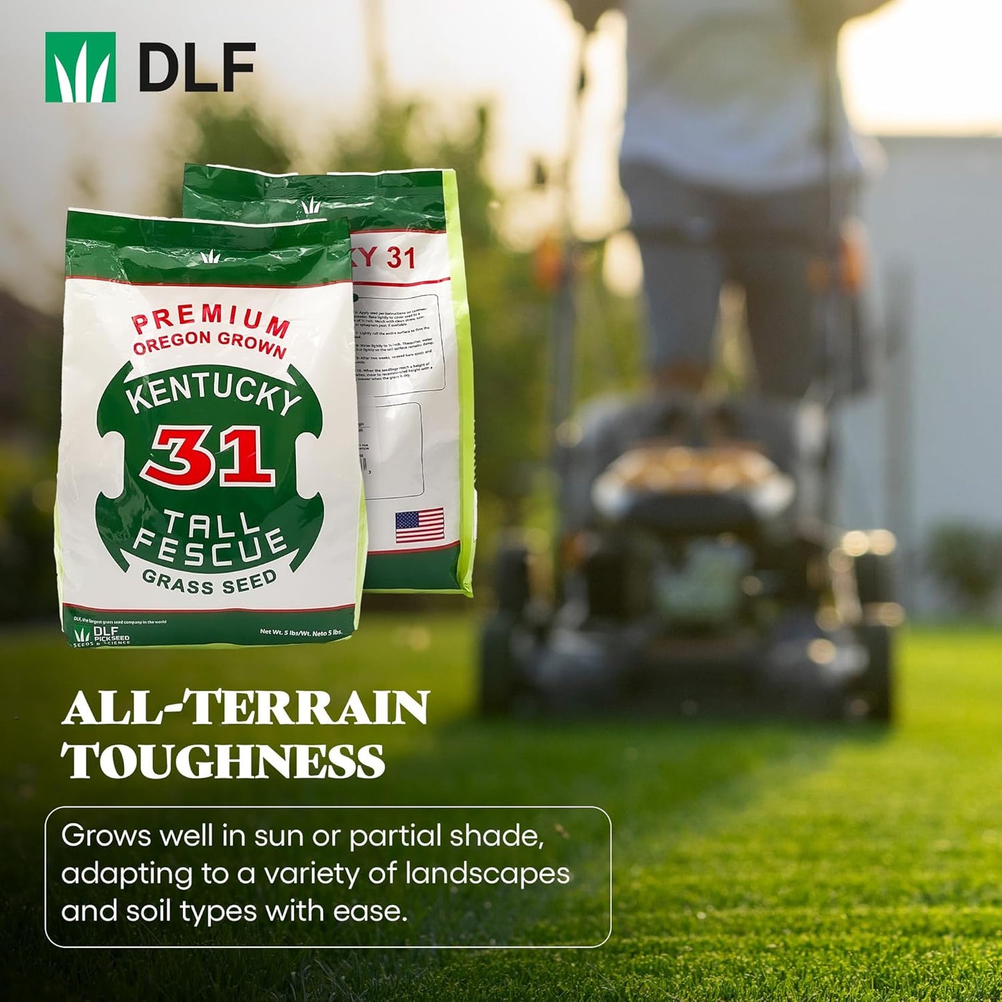 X-Seed Oregon Grown Kentucky 31 Tall Fescue Grass Seed for Sun and Shade Drought-Resistant Lawn for High Traffic, Forage & Turf Grass – Designed for Extreme Durability & Retaining Moisture – 5 lb Bag