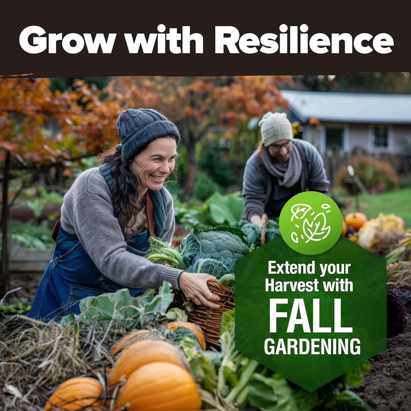 HOME GROWN 12 Fall Vegetable Seeds 6,000+ 𝗨𝗦𝗔 Heirloom 𝗡𝗢𝗡-𝗚𝗠𝗢 Seeds for Fall & Winter Planting – Beets, Broccoli, Cabbage, Kale, Onion, Pumpkin, Turnip, Lettuce, Peas & More for Home Garden