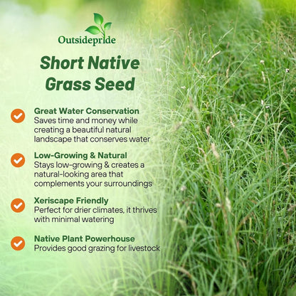 Outsidepride Perennial Short Native Grass Seed Mix - 1 lb. Premium Mix of Blue Grama, Buffalo, Sideoats Grama, & Sheep’s Fescue Grass Seeds for Low-Maintenance, Heat & Drought-Tolerant Landscaping