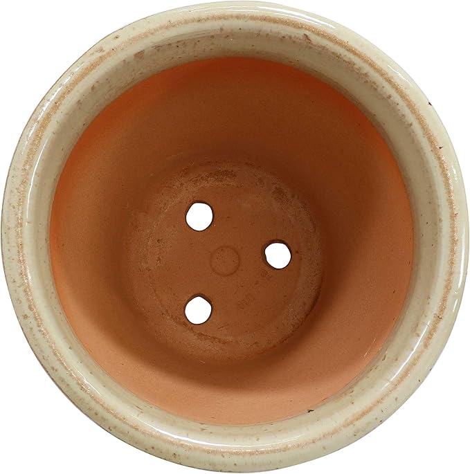 Sunnydaze Large Ceramic Plant Pot - Round Outdoor Glazed Ceramic Planter Pot with Drainage - Studio - Seafoam - 14.5"