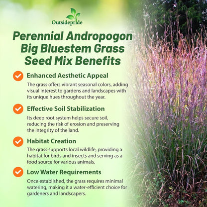 Outsidepride Perennial Andropogon Big Bluestem Grass Seed - 10 lbs. Warm Season, Drought Resistant, Native Prairie Grass Seed, Ideal for Erosion Control, Ornamental Landscaping & Wildlife Gardens