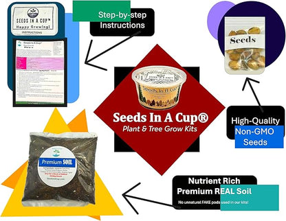 Seeds In A Cup® Plant Grow Kit – 60+ Varieties of Vegetables, Herbs & Flowers | Indoor & Outdoor Seed Starter for Kids & Adults | Grow Your Own Garden | Gardening Gift (Thyme)
