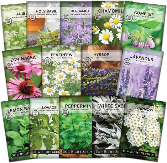 Sow Right Seeds - Large Medicinal Herb Seed Collection for Planting - Chamomile, Echinacea, Lavender, Mint, Lovage, Lemon Balm, & More - Non-GMO Heirloom for Home Remedies, Teas, Tinctures