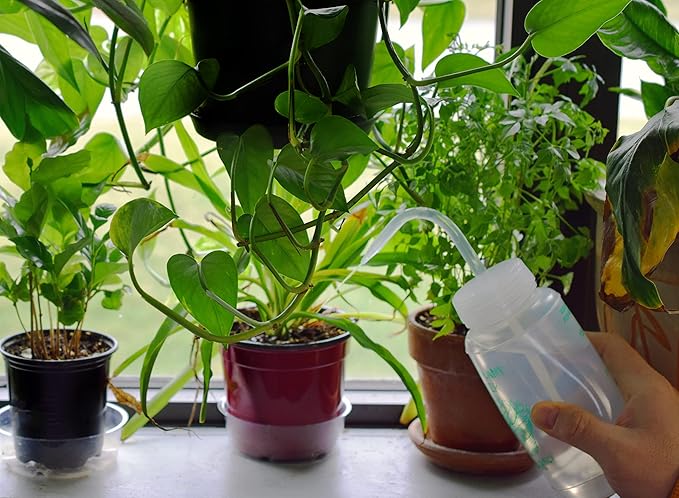 hBARSCI 2PK Houseplant Helper Plant Water Bottle, 16oz -Weekly Irrigation Scale Printed on Side - Plant Watering Devices, Succulent Watering Bottle, Indoor House Plant Waterer, Seed Tray Watering Can