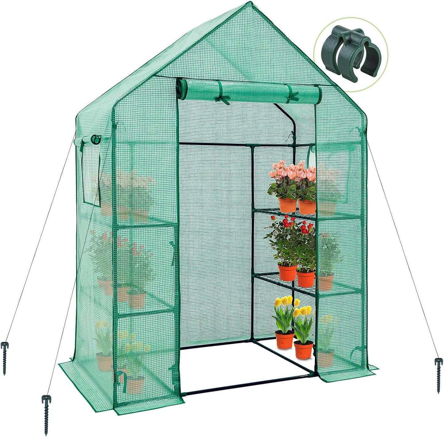 EAGLE PEAK Walk in 3-Tier Greenhouse with Wire Shelves, Portable Indoor and Outdoor Green House with Roll-Up Zippered Door & 2 Roll Up Side Windows, 4 Shelves, 61"x28"x79", Clear/Green PE Cover